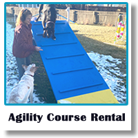 Agility Course Rental